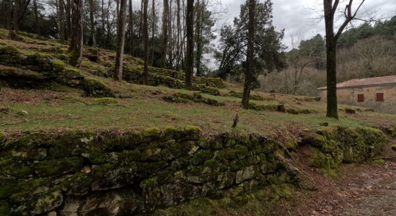 Wouter Peelen: Leeftijd, carrière en persoonlijk leven